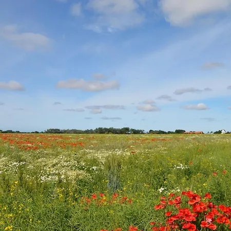 Holiday home Litzkow 15506 Morsum (Sylt)